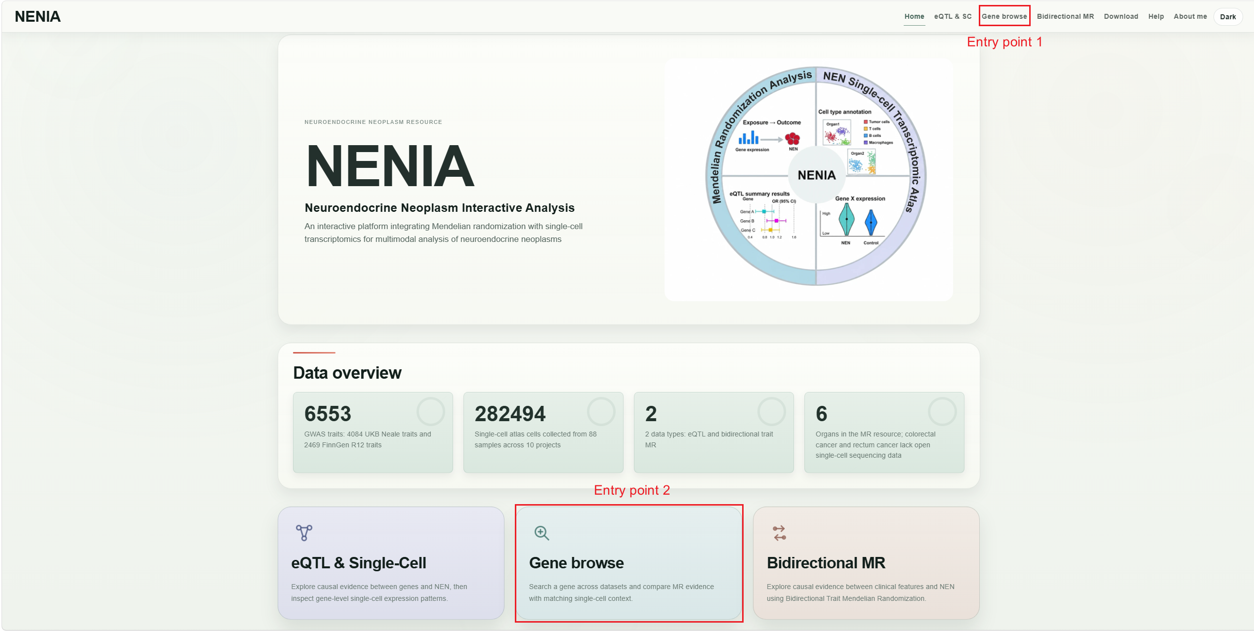 Gene browse tutorial step 1
