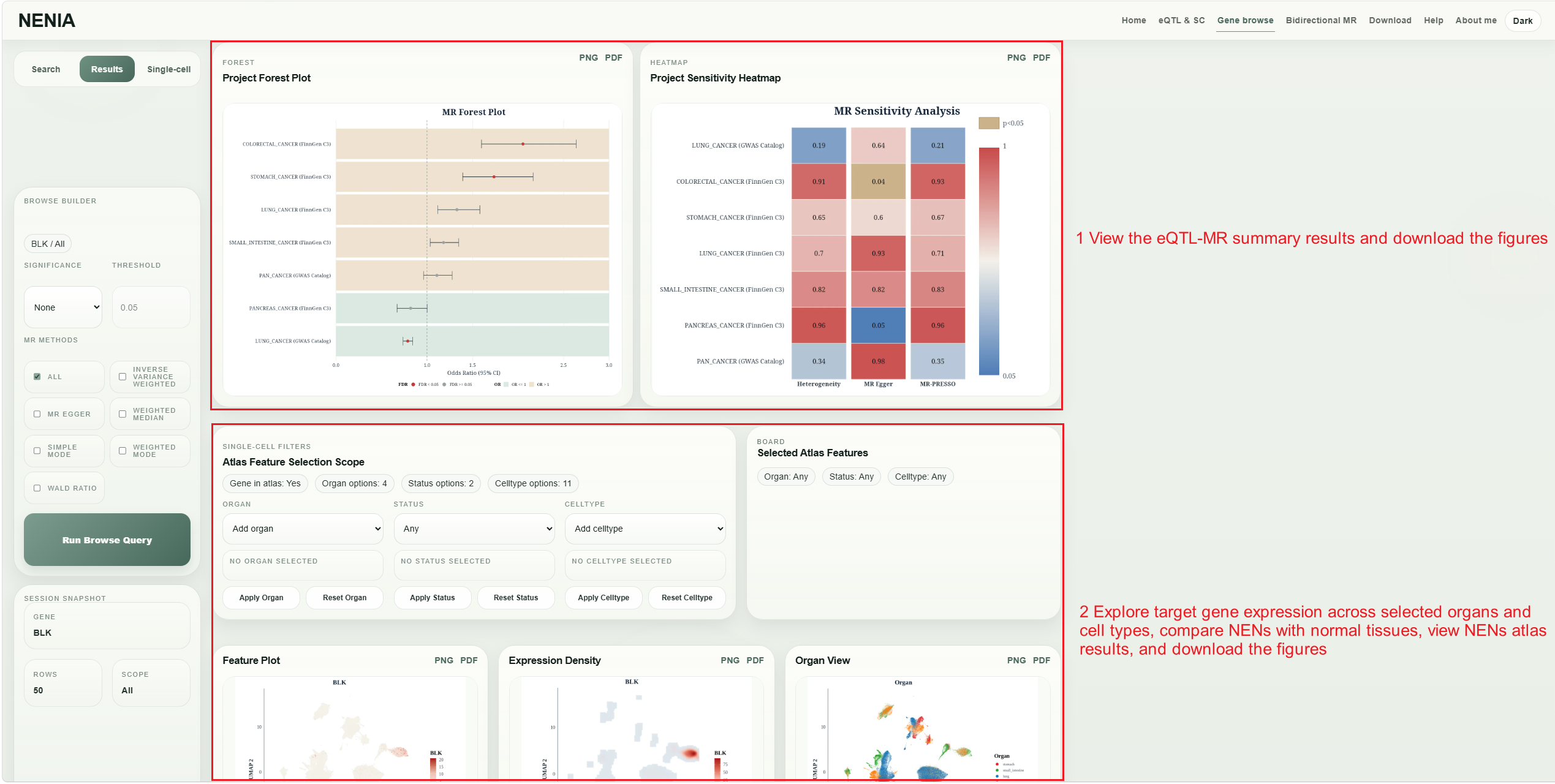 Gene browse tutorial step 4