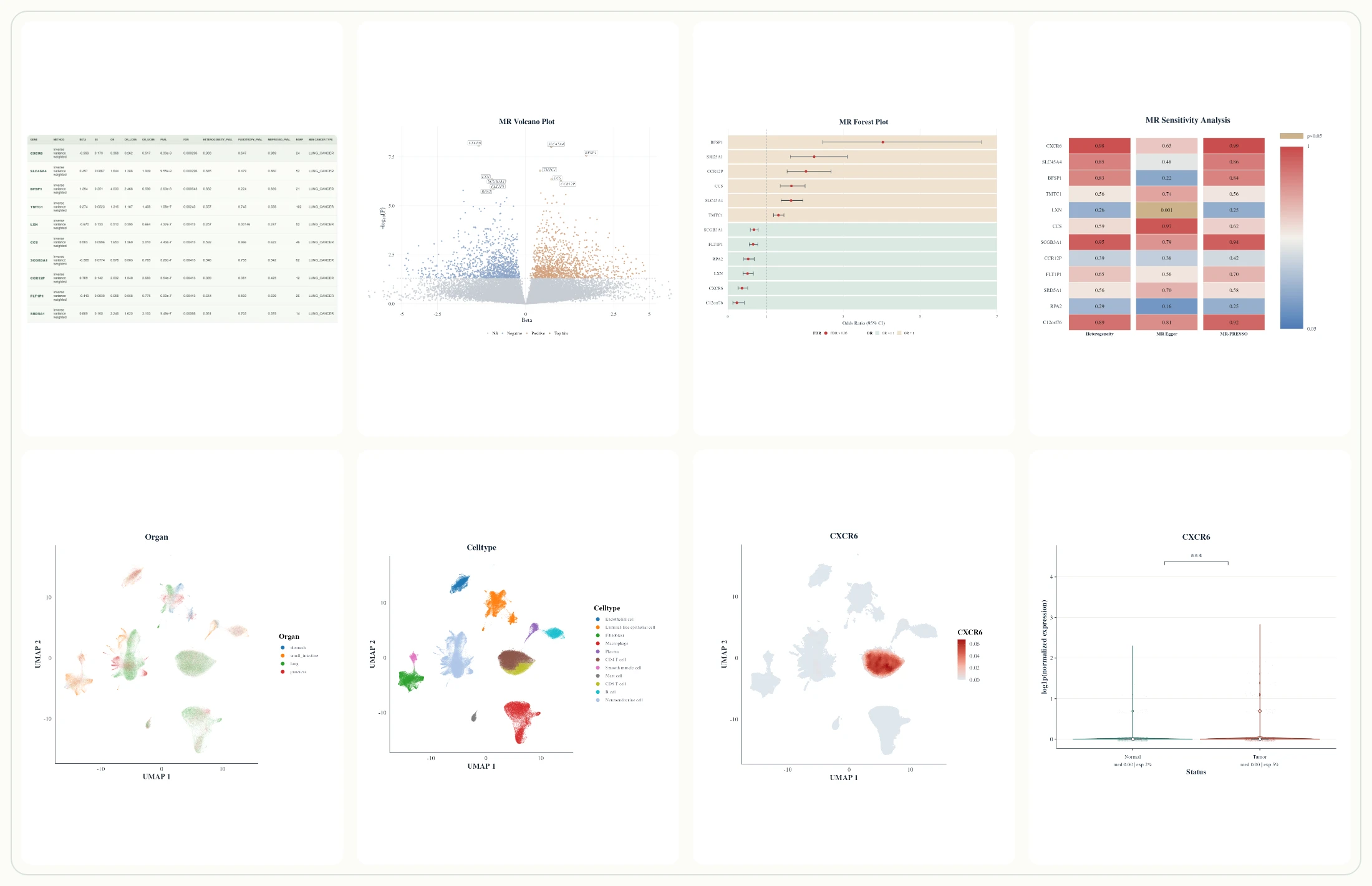 eQTL and single-cell workflow preview